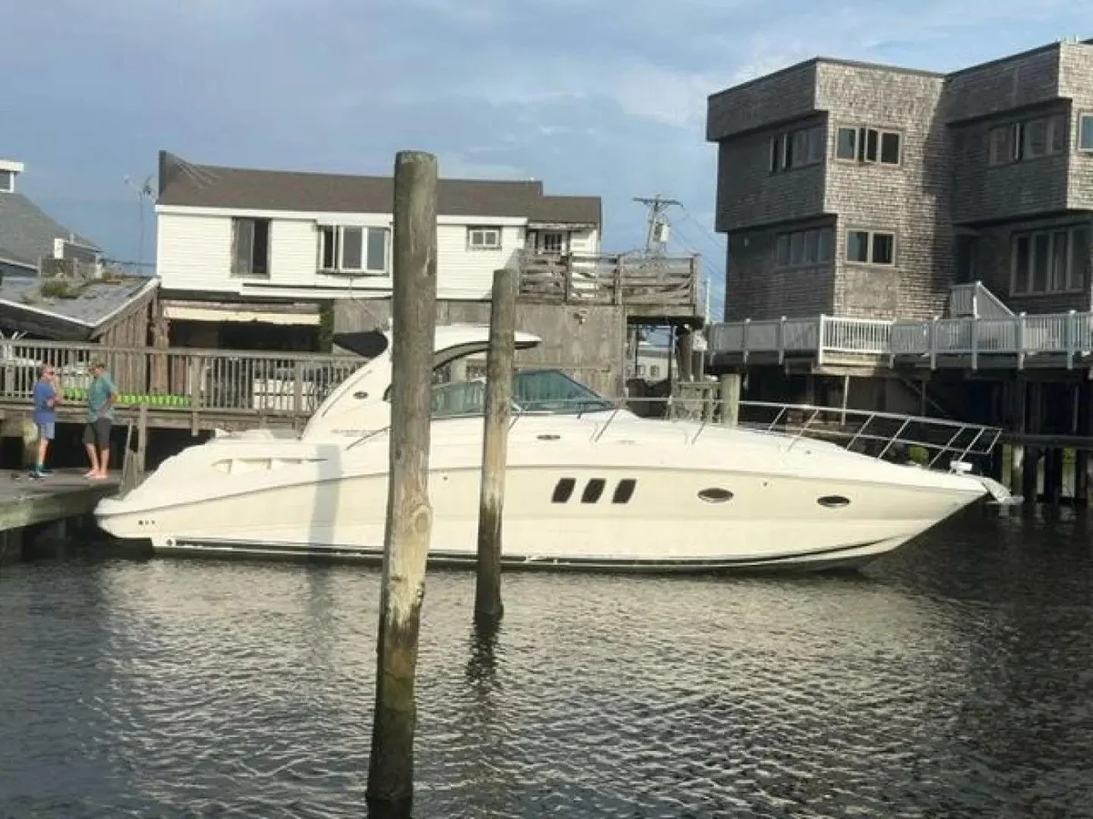 Sea Ray | 2010 photo