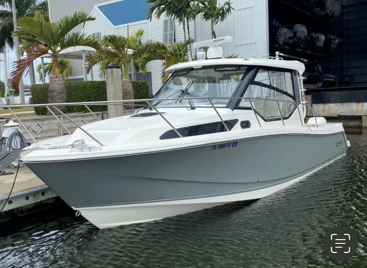Boston Whaler | 2020 photo