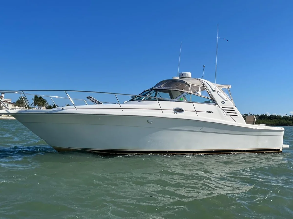 Sea Ray | 2001 photo