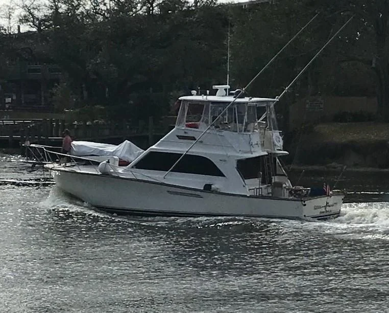 Reel n Sanity photo