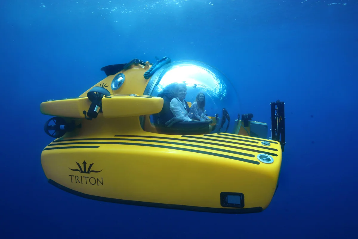 Triton | 2018 photo