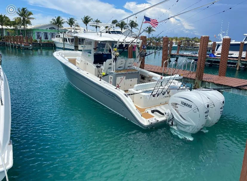 Cobia | 2021 photo