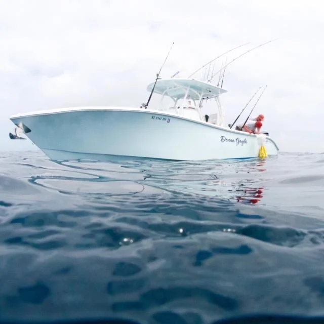 Yellowfin | 2014 photo