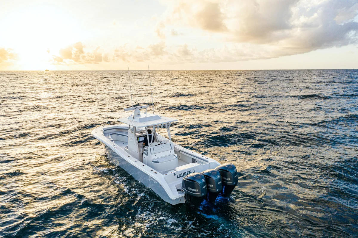 Yellowfin | 2019 photo