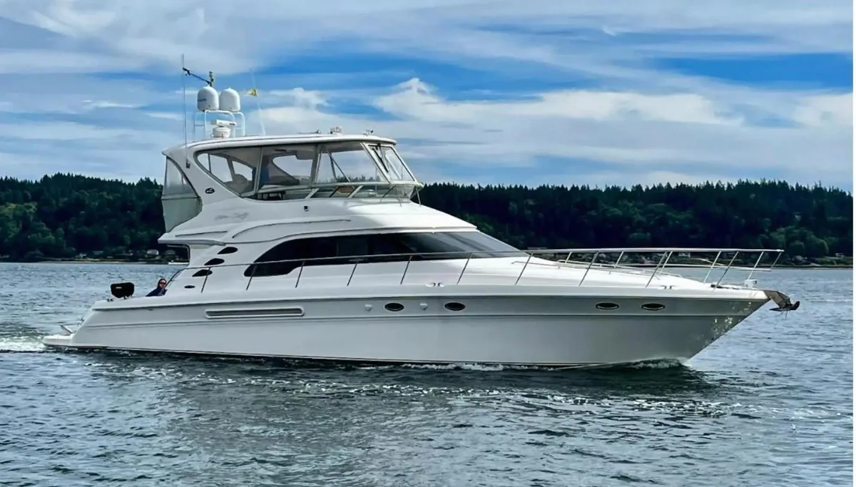 Sea Ray | 2001 photo