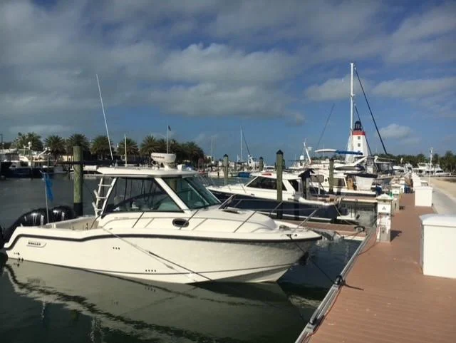 Boston Whaler | 2013 photo