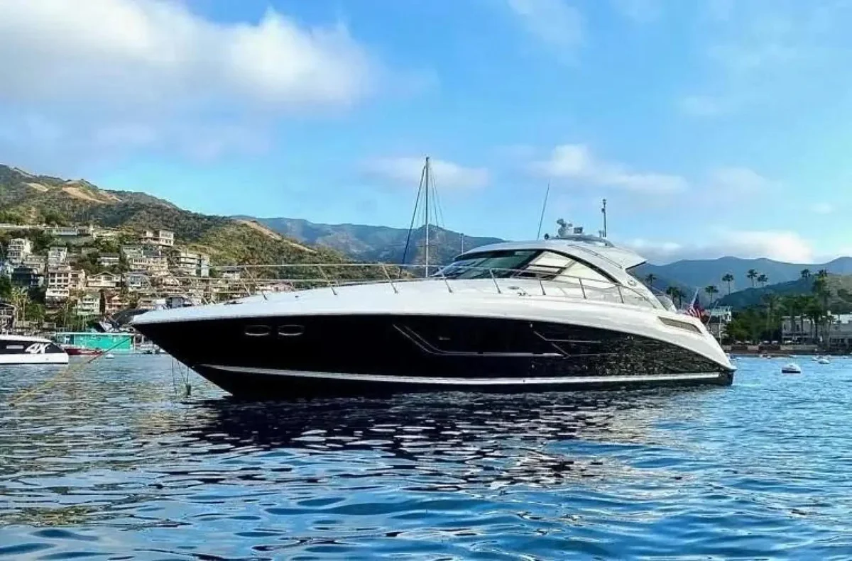 Sea Ray | 2014 photo