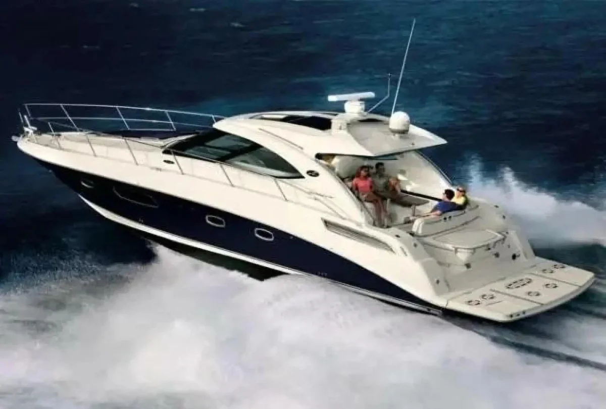Sea Ray | 2010 photo