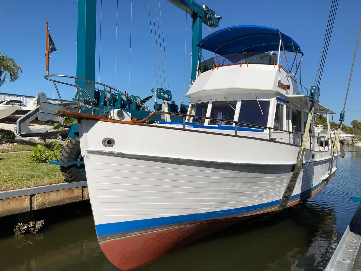 Tortuga Azul photo