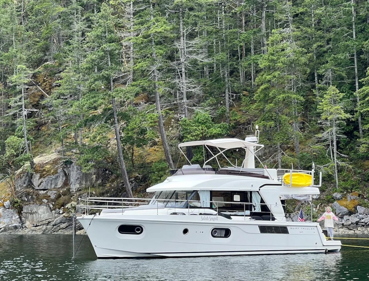 Salish Seagull photo