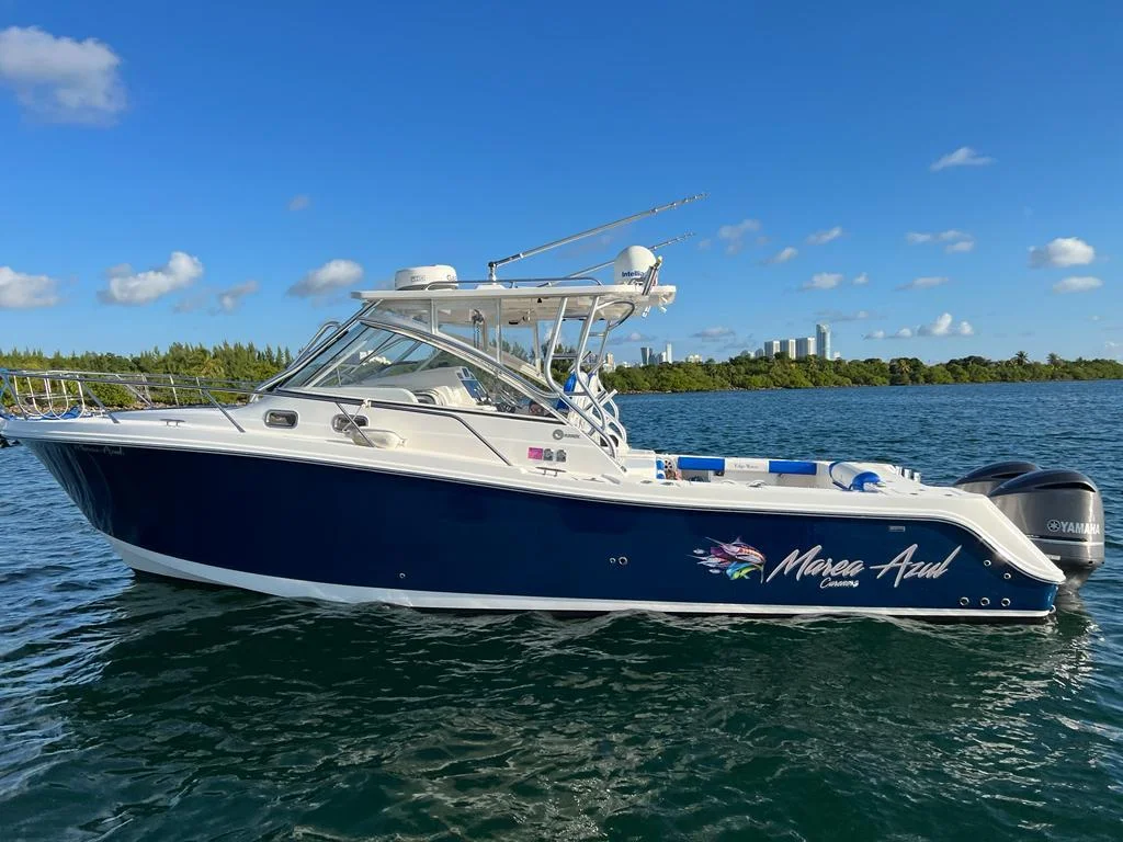 Marea Azul photo