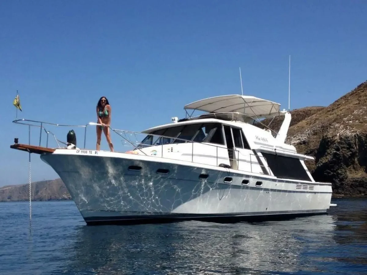Bayliner | 1990 photo