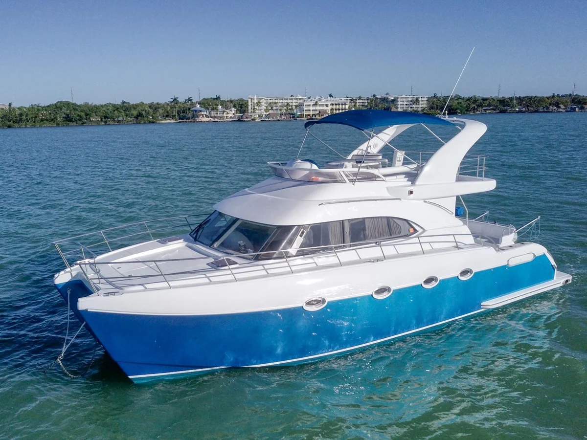 Nauti Cat photo