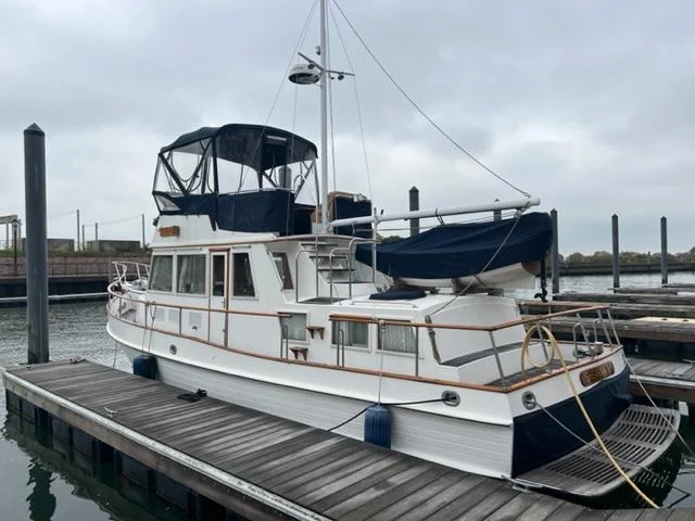 Shearwater photo
