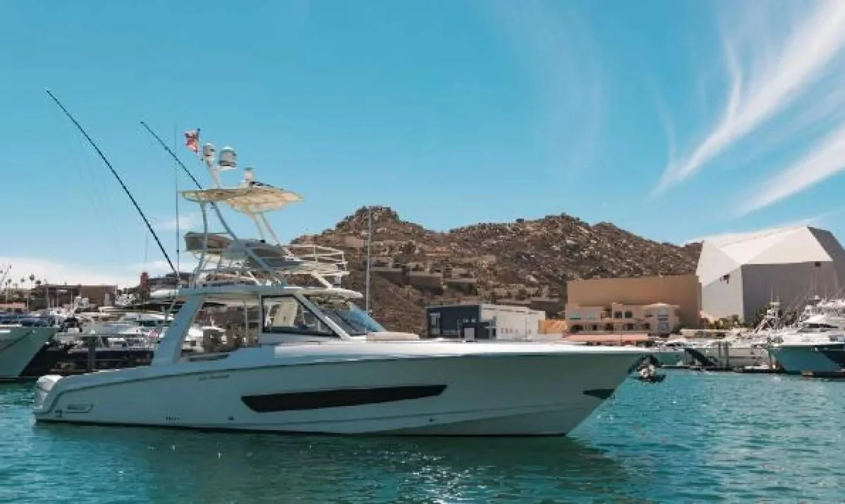 Boston Whaler | 2020 photo