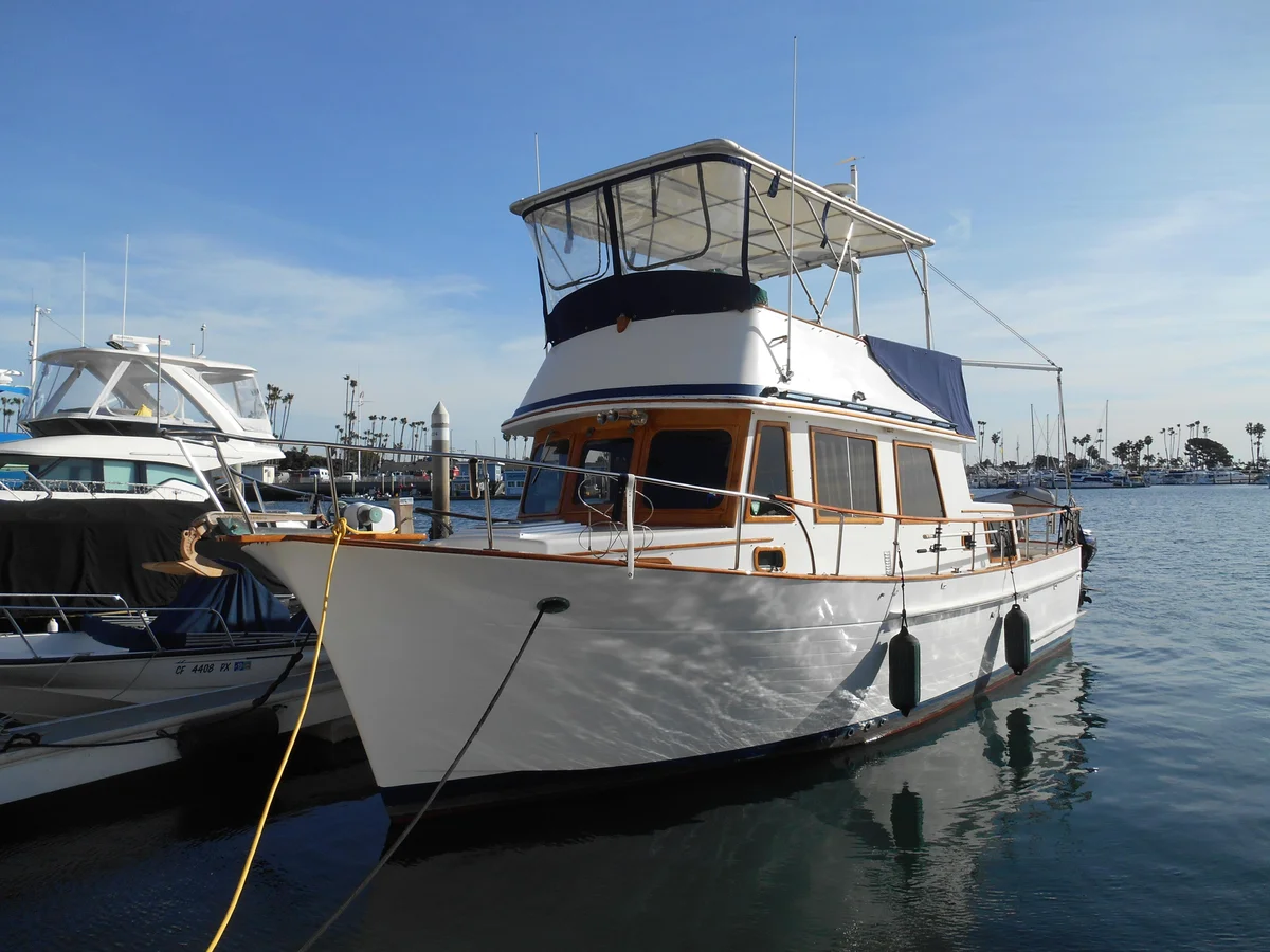 Ahoy Vey photo