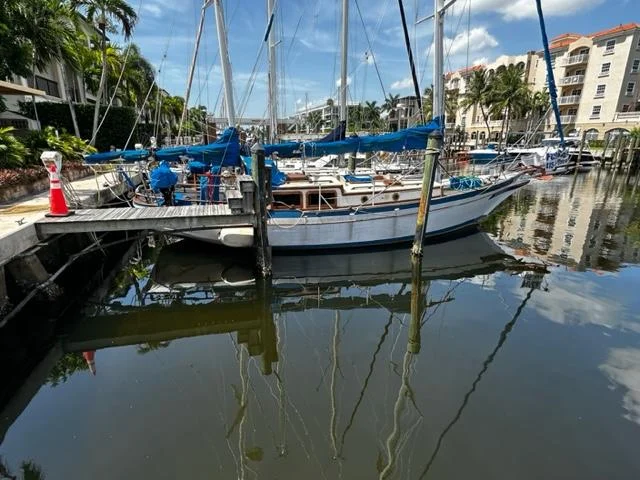 Bon Voyage photo