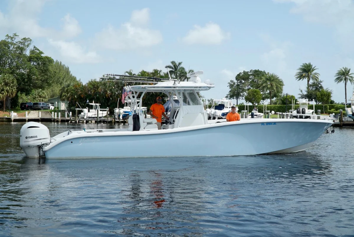 Yellowfin | 2020 photo