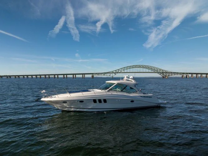 Sea Ray | 2010 photo