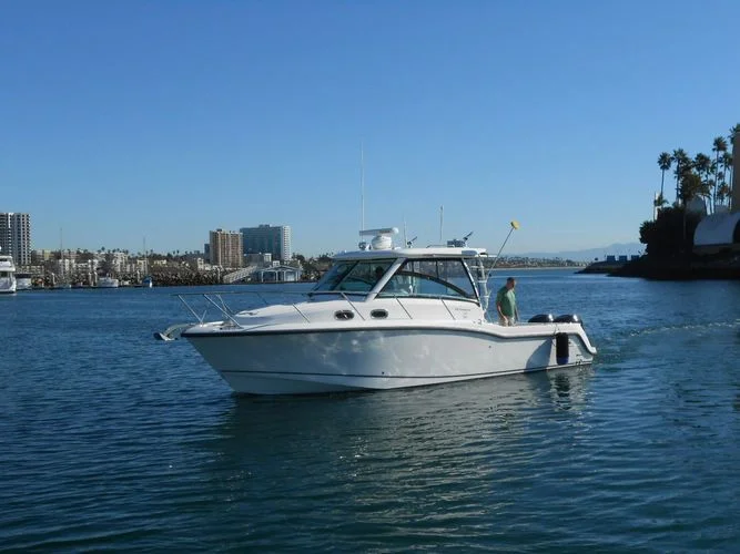 Boston Whaler | 2013 photo